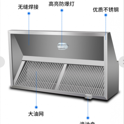 九游体育官网入口油烟净化器行业前景预测：国家政策驱动下的绿色未来(图1)